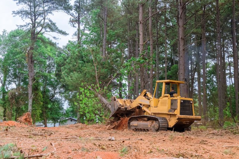 Land clearing professionals at work