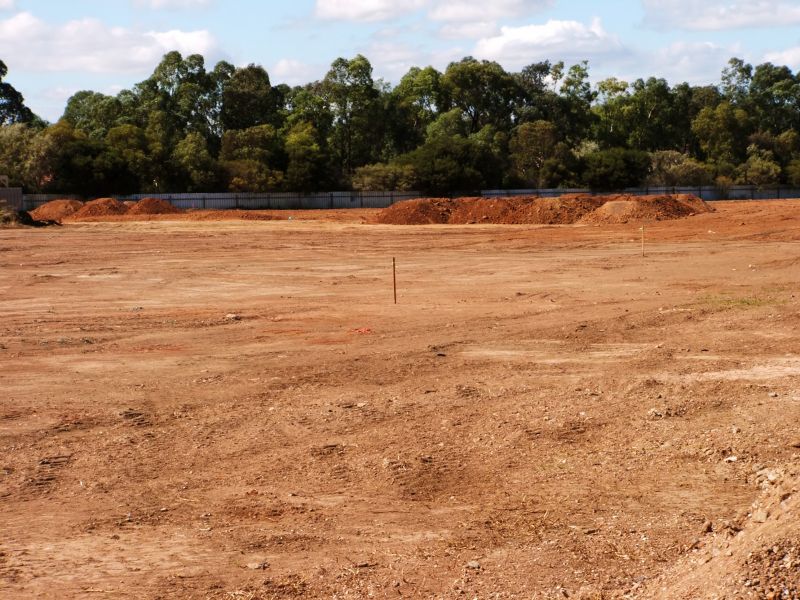 Cleared Land Overview