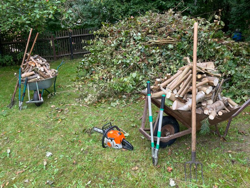 Tree and Debris Removal Process