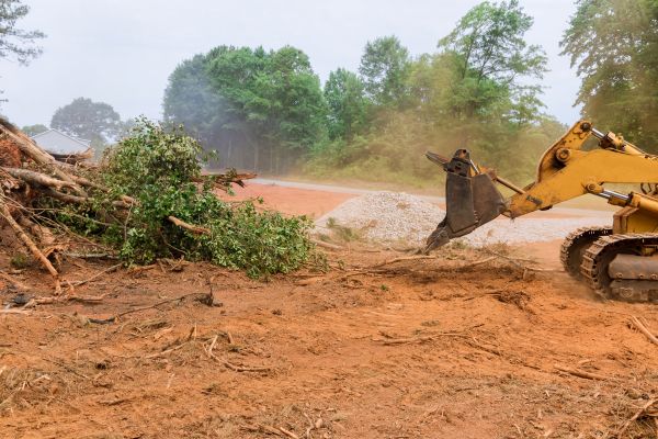 Ground Clearing in Fairbanks