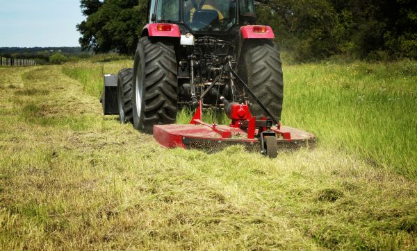 Brush Clearing Service in Fairbanks