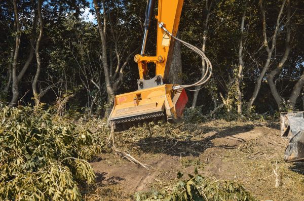 Brush Removal Service in Fairbanks