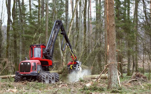 Cost of Forest Clearance Service in Fairbanks
