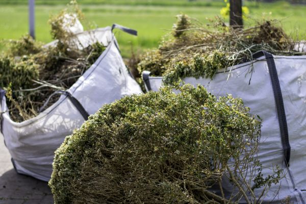 Bushes Clearing in Fairbanks