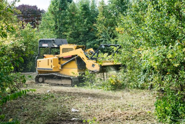Cost of Pathway Clearing in Fairbanks