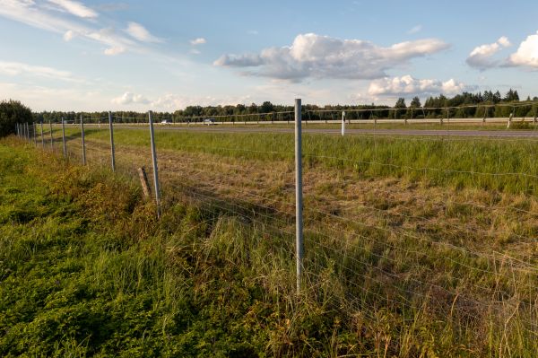 Cost of Property Line Clearing in Fairbanks