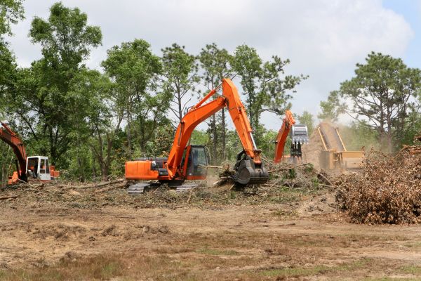Cost of Commercial Lot Clearing in Fairbanks