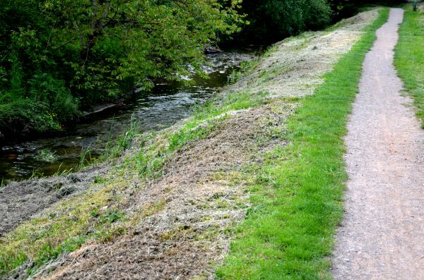 Cost of Trail Cutting in Fairbanks